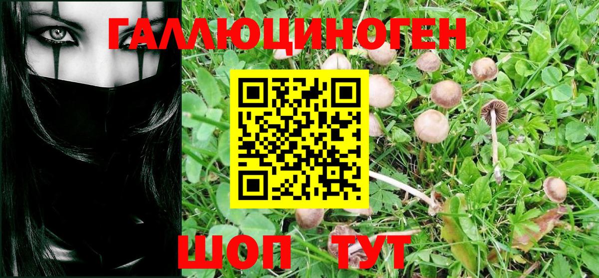 Галлюциногенные грибы Magic Shrooms Керчь